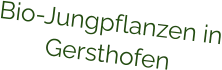 Bio-Jungpflanzen in Gersthofen